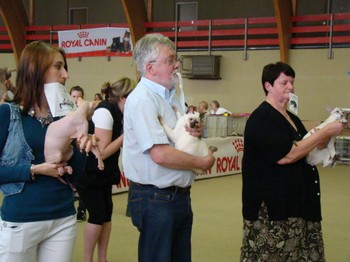 20110703_267 [350]